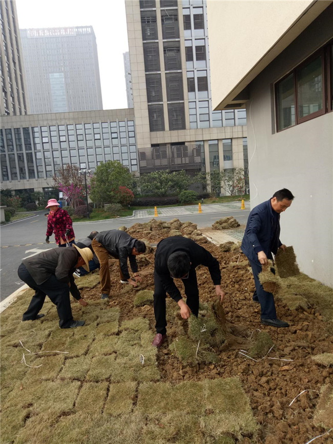 老子有钱lzyq88(中国)有限公司