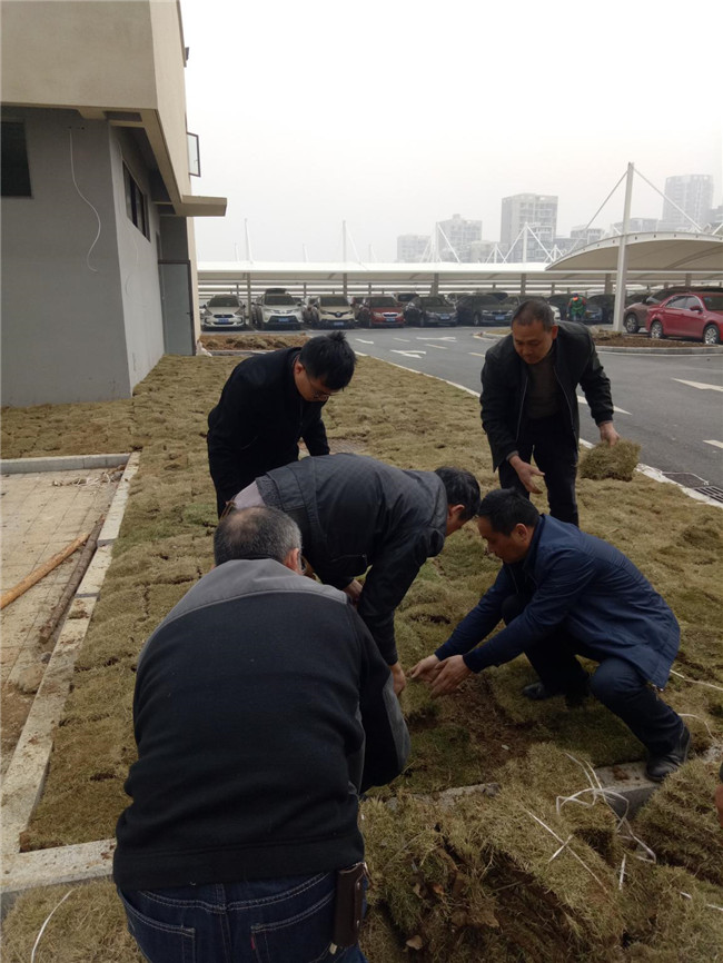 老子有钱lzyq88(中国)有限公司