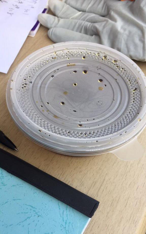 老子有钱lzyq88(中国)有限公司